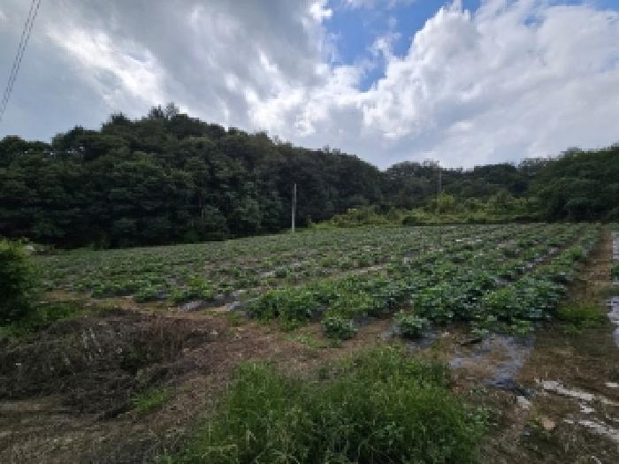 기호2번 전경