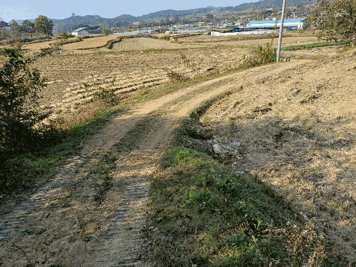 2025타경100549