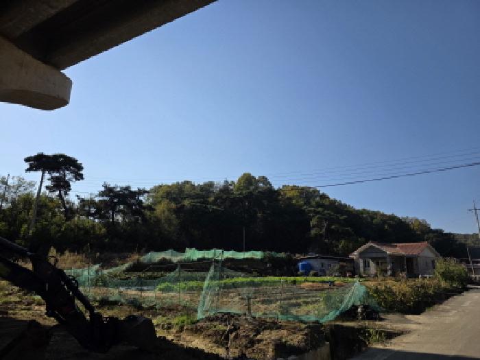 기호1번 전경