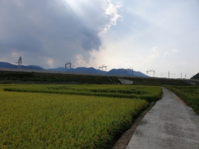 2020타경12659[5]