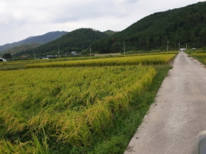 2020타경12659[5]