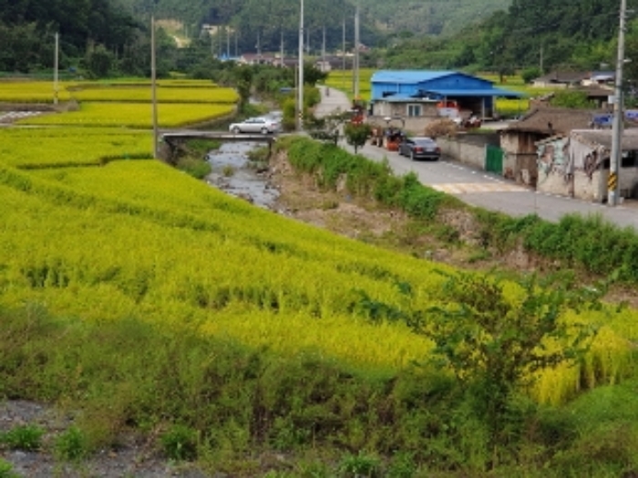 2020타경12659[5]
