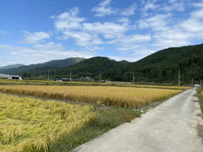 2020타경12659[5]
