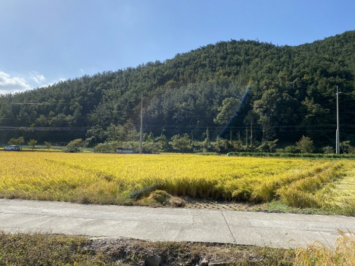 2020타경12659[5]