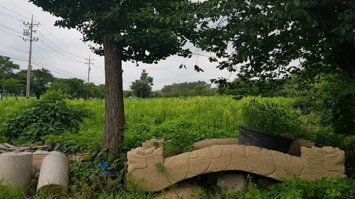 본건 전경