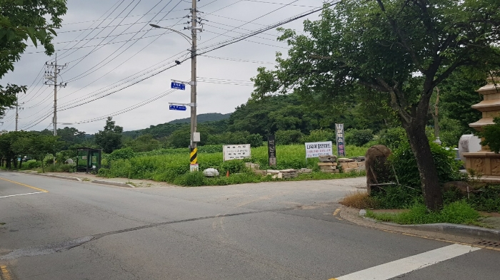 본건 전경