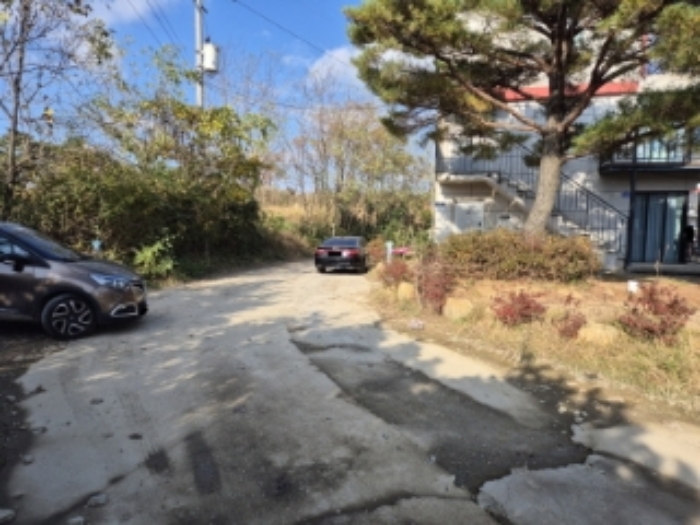 2024타경3509