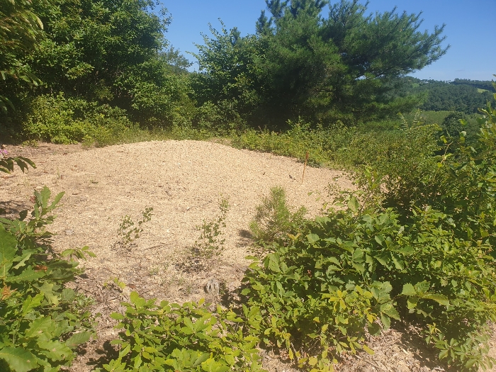 기 호 (1) 지 상 분 묘 전 경