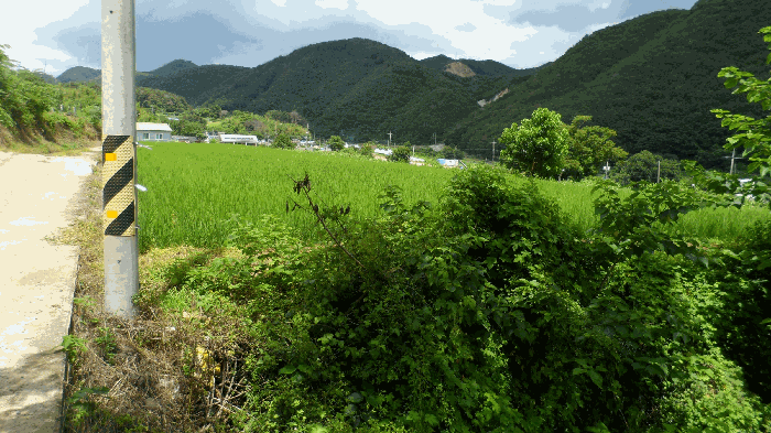 본건 전경