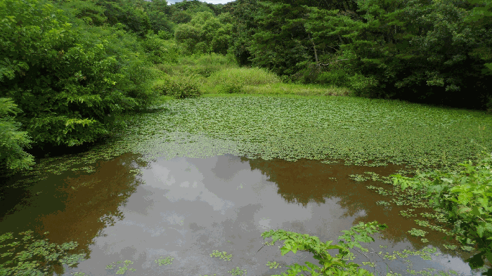 기호1,2) 전경