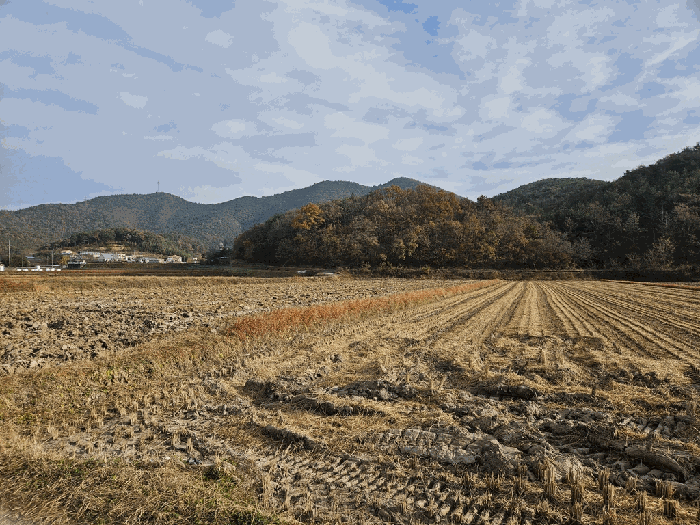 본건 전경