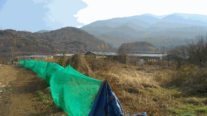 기호2) 전경