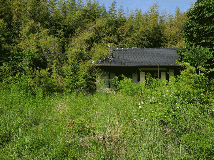 본건 전경