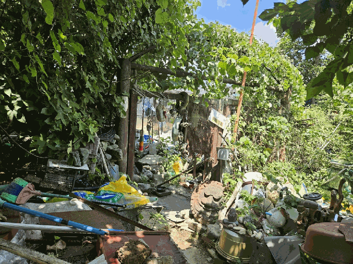 본건 전경