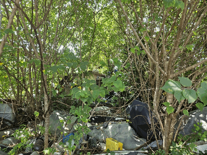본건 전경