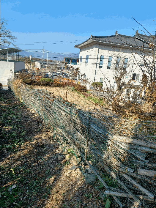 본건동측에서촬영