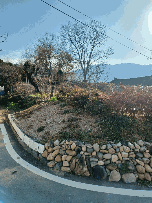 본건 남서측에서 촬영