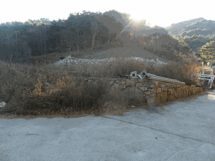 본건전경