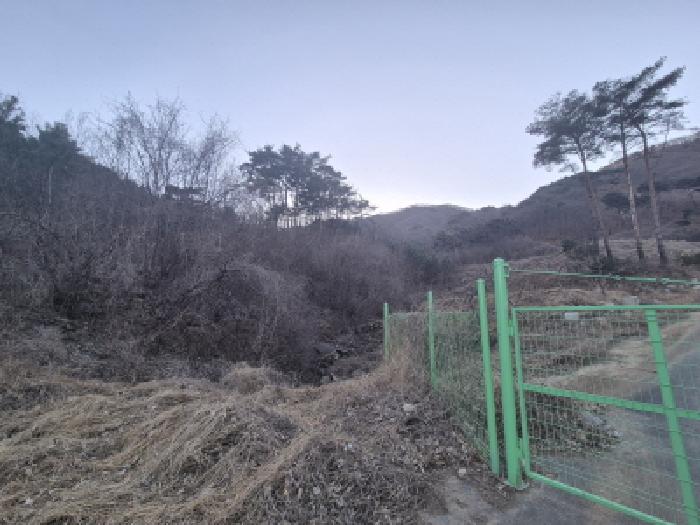2026타경3