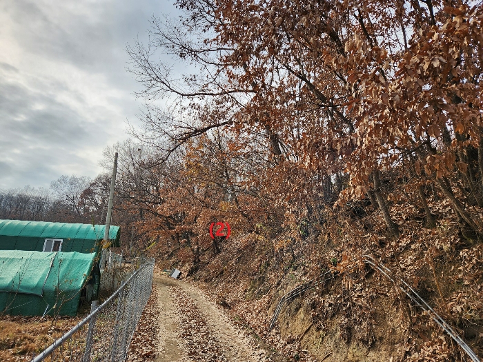 기호(2)토지