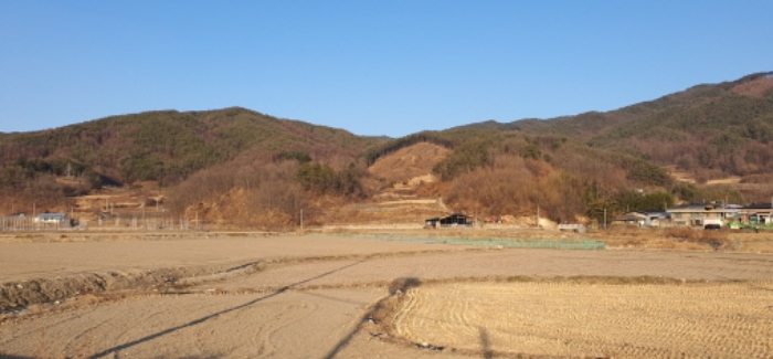 본건 및 주변