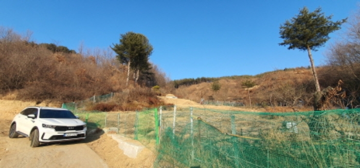 본건 및 주변