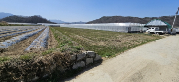 입석리 900 및 주변