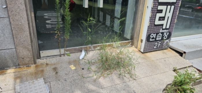 건물 주변