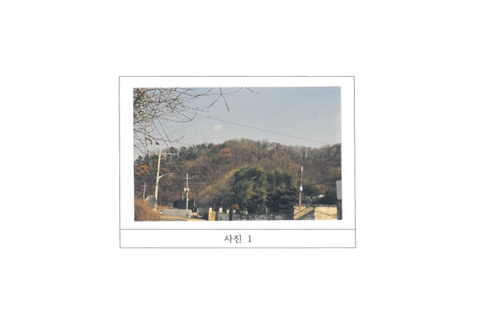 2024타경3397