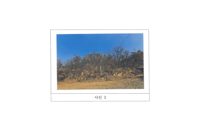 2024타경3397
