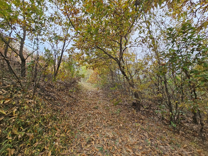본건 진입로
