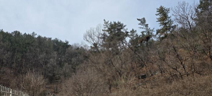 본건 및 주변