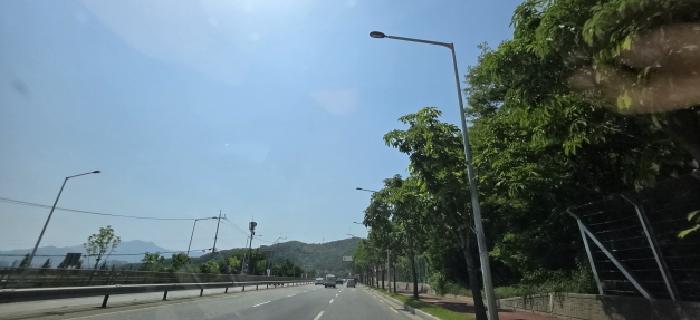 양호동 산19-1 및 주변