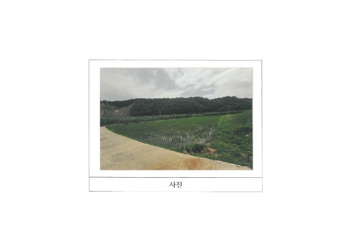 2025타경352
