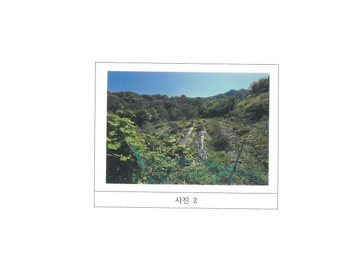 2025타경486