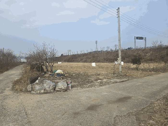본건 지상 수목 전경