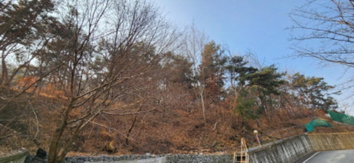 본건 및 주변