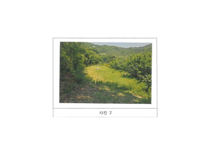 2025타경11024