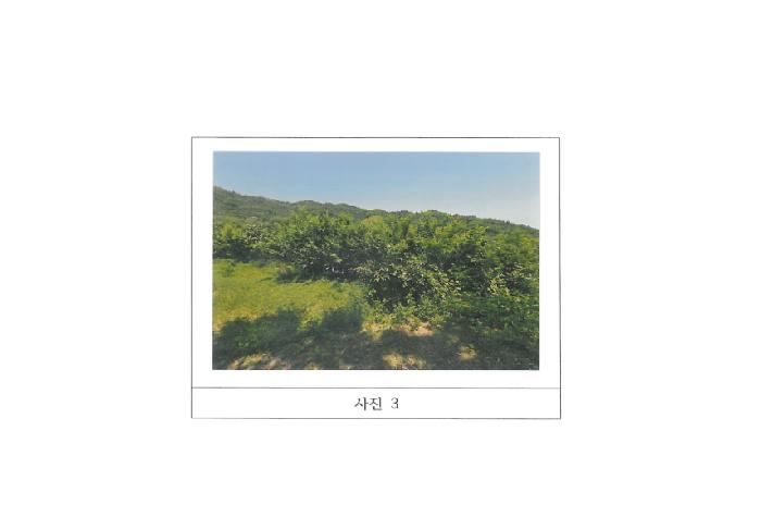 2025타경11024