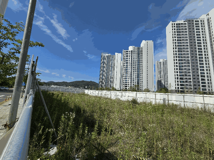 2025타경11116