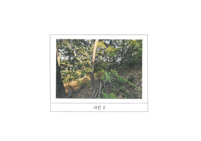 2025타경11164