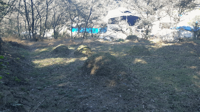 본건 토지 남동측면 전경2