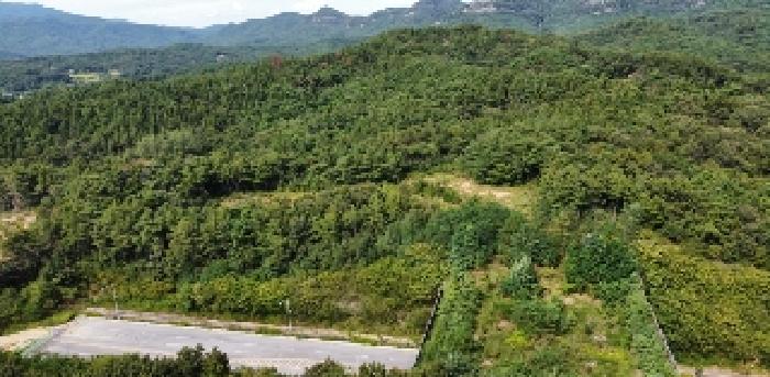 금산리 본건 및 주변