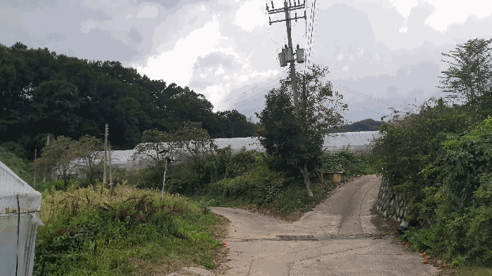 본건 번호 (6) 토지 전경