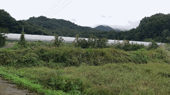 본건 번호 (9, 10, 12, 13) 토지 전경1