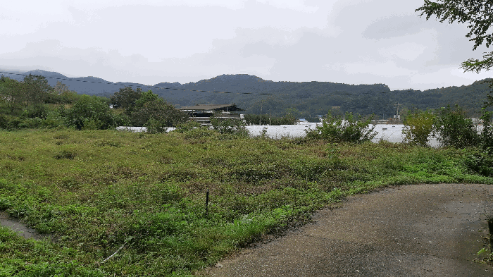 본건 번호 (11) 토지 전경1
