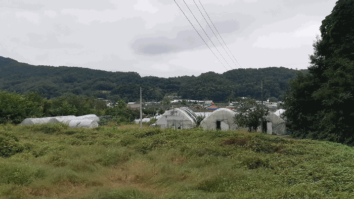 본건 번호 (11) 토지 전경3