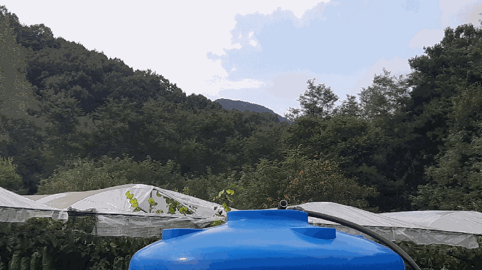 본건 번호 (1) 토지 전경