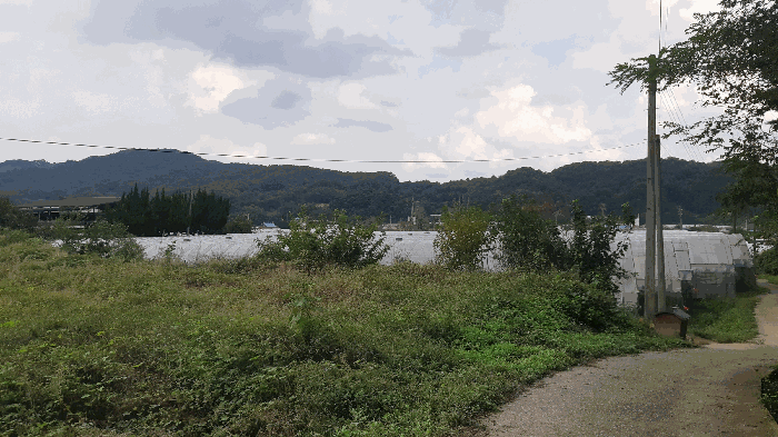 본건 번호 (7) 토지 전경