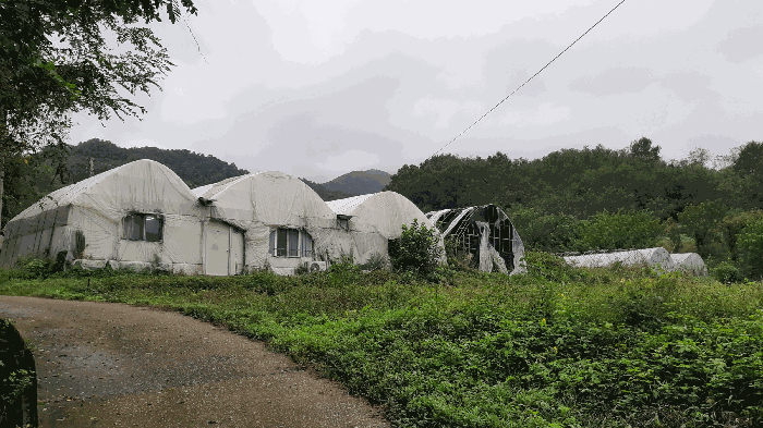 본건 번호 (11) 토지 전경2